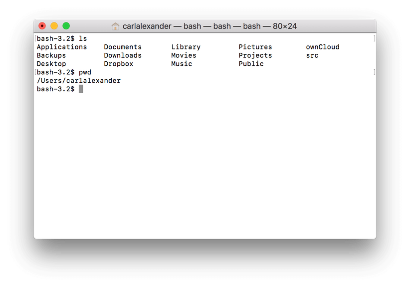 Introduction to the commandline interface The Man in the Arena
